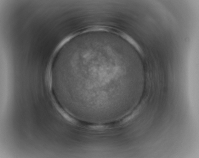 X0000114681127200910211205