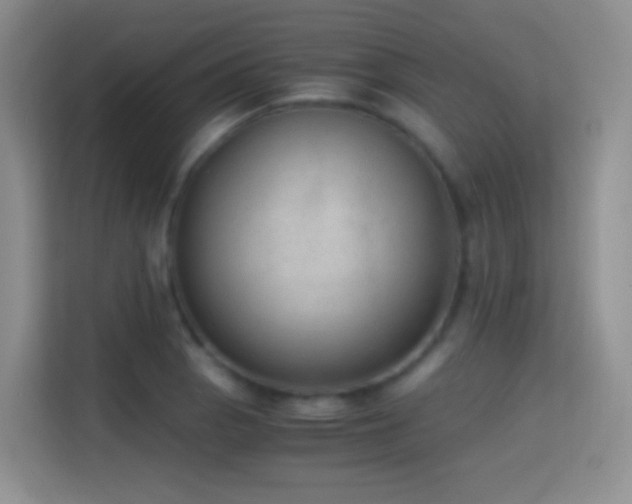 X0000114681129200910211205