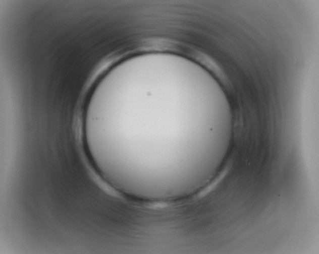 X0000114681130200910211205