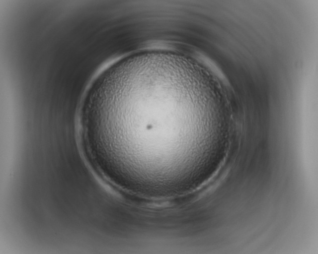 X0000114681133200910211205