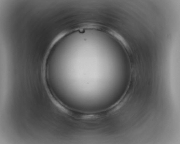 X0000114681135200910211205