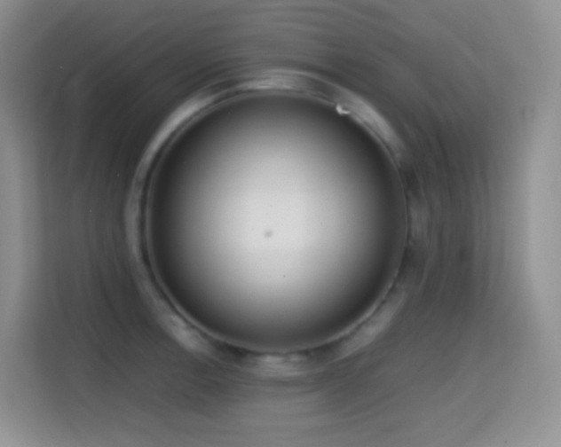 X0000114681138200910211205