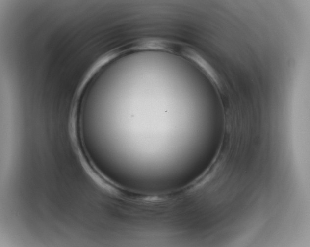 X0000114681139200910211205