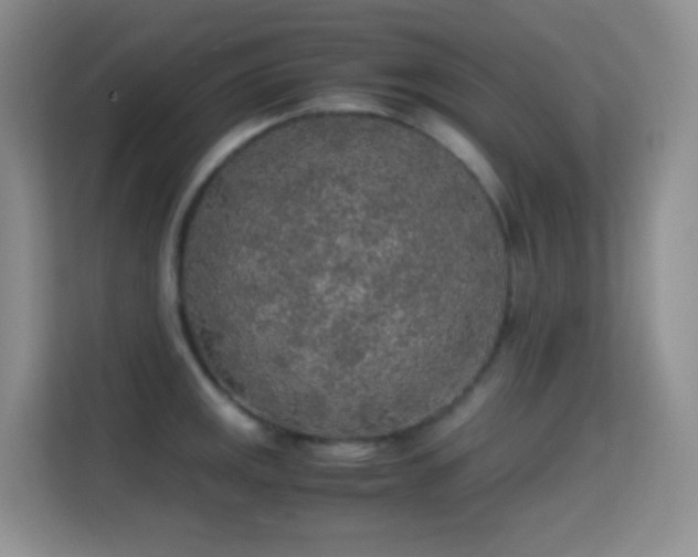 X0000114681141200910211205