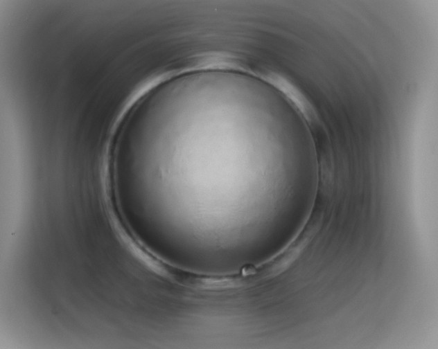 X0000114681142200910211205