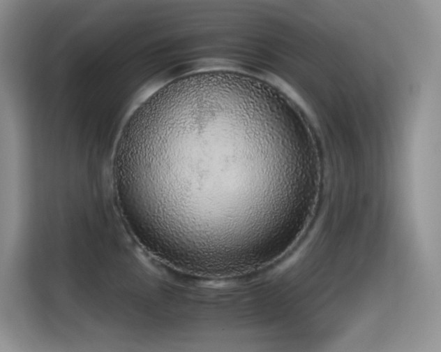 X0000114681145200910211205