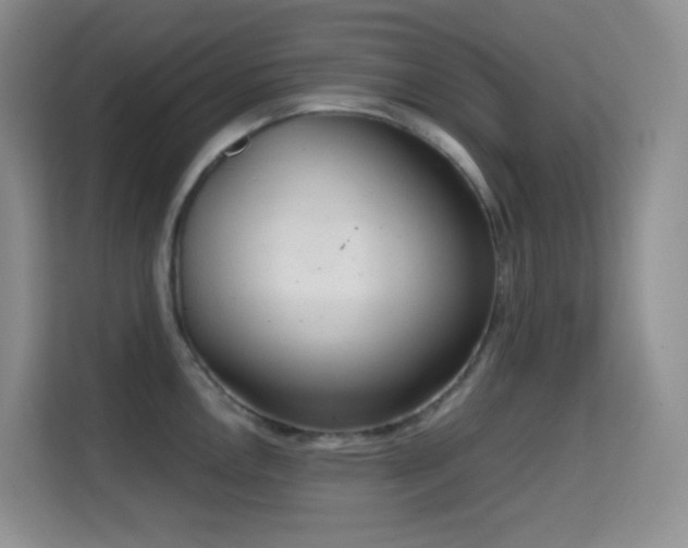 X0000114681146200910211205