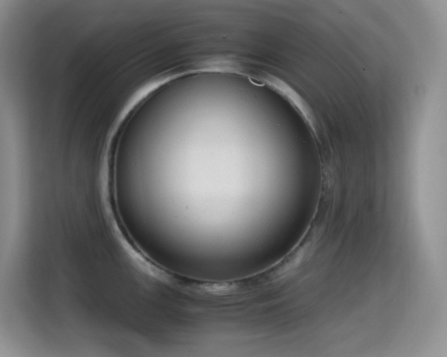 X0000114681147200910211205
