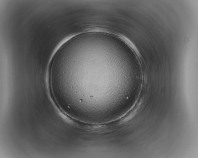 X0000114681149200910211205