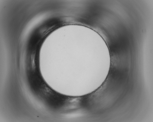 X0000114681150200910211205