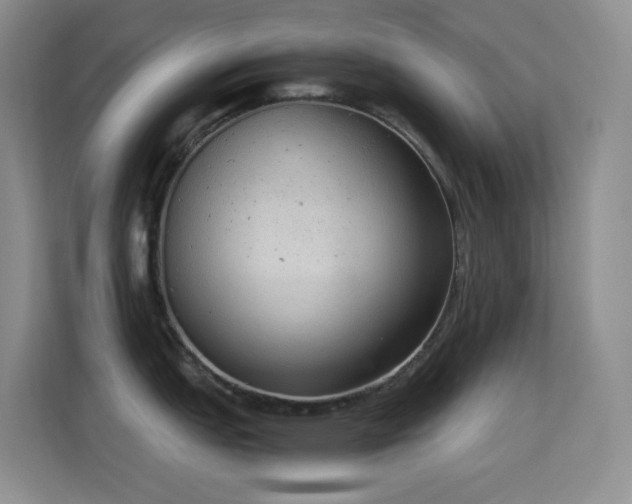 X0000114681151200910211205