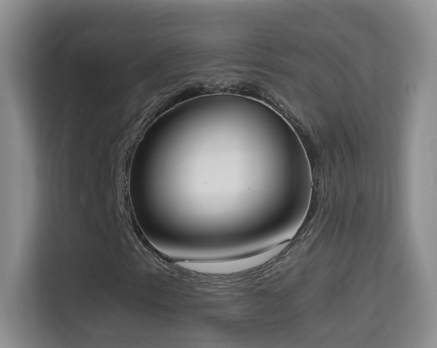 X0000114681153200910211204