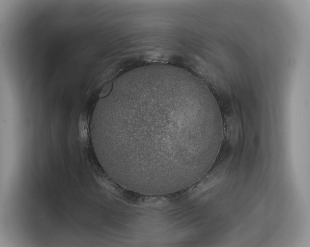 X0000114681154200910211204