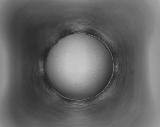 X0000114681156200910211204
