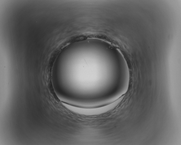 X0000114681157200910211204
