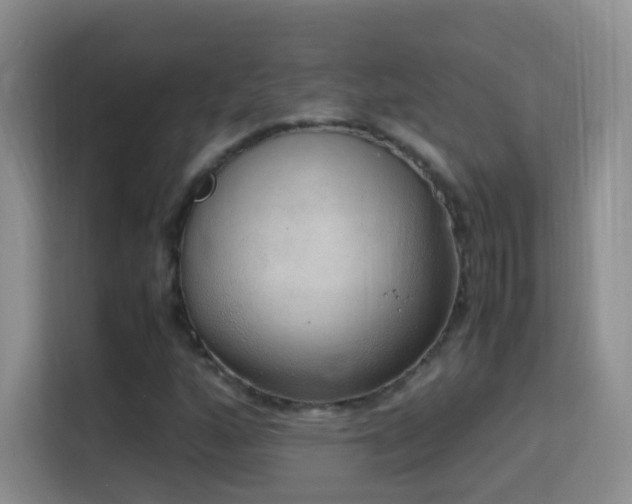 X0000114681160200910211204