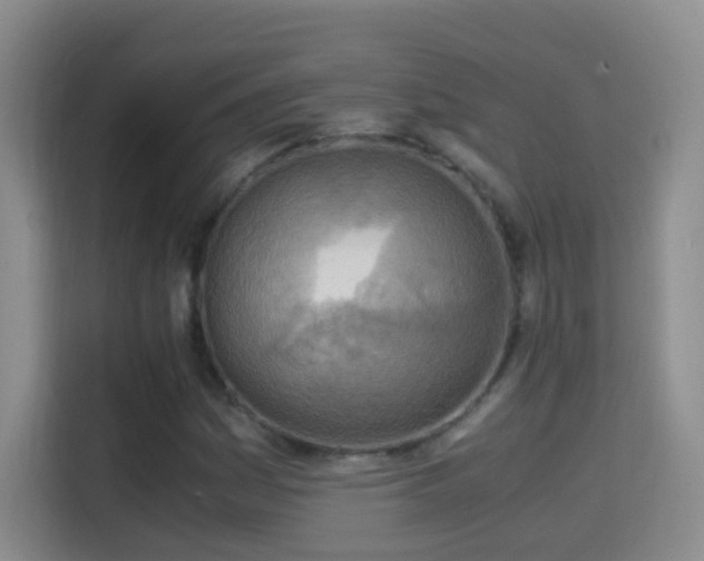 X0000114681161200910211204