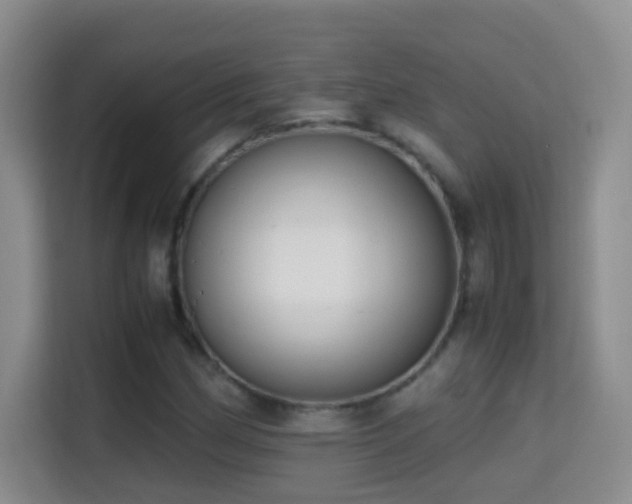 X0000114681162200910211204