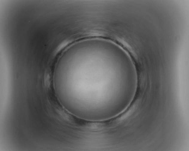 X0000114681163200910211204