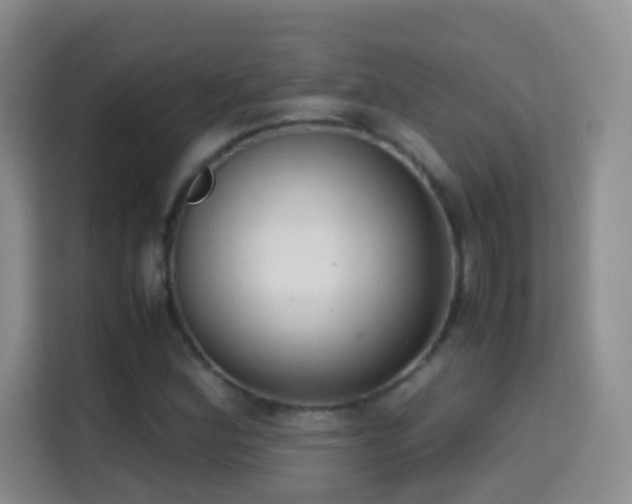X0000114681164200910211204