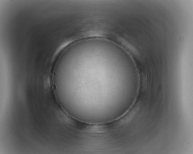 X0000114681166200910211204