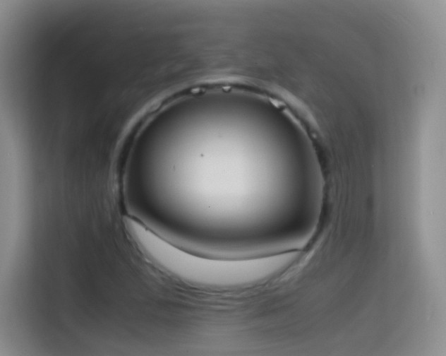 X0000114681167200910211204