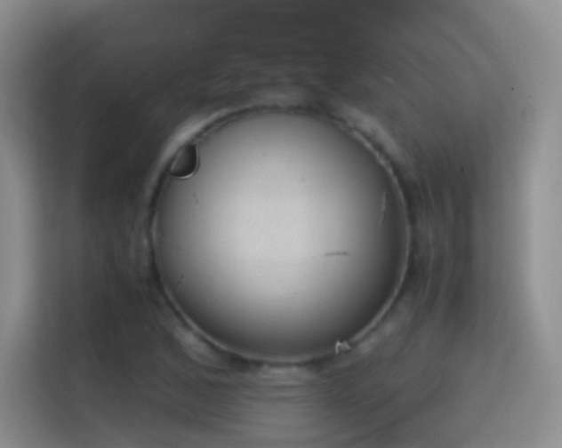 X0000114681168200910211204