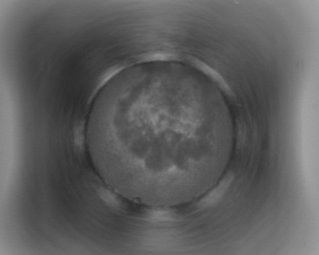 X0000114681170200910211204