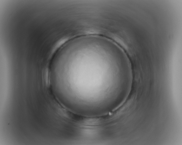 X0000114681171200910211204