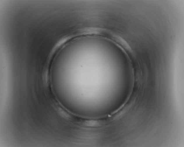 X0000114681172200910211204