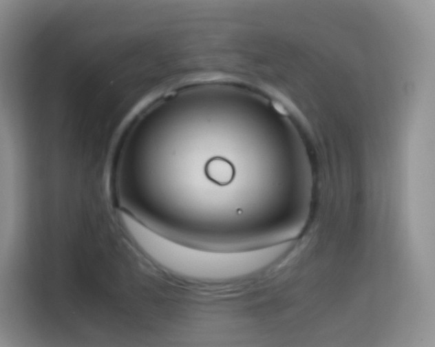 X0000114681173200910211204