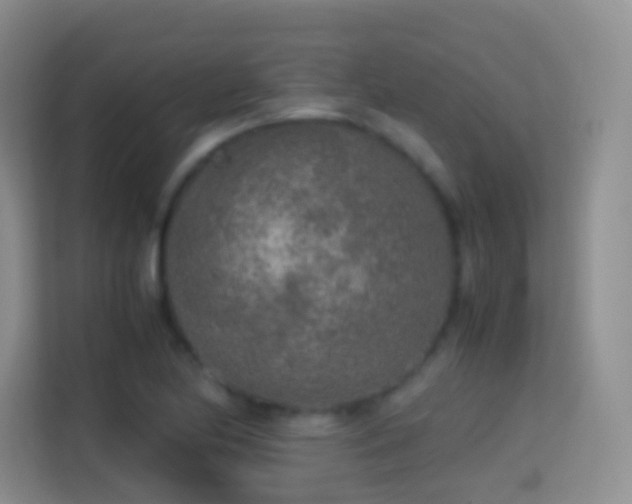 X0000114681174200910211204