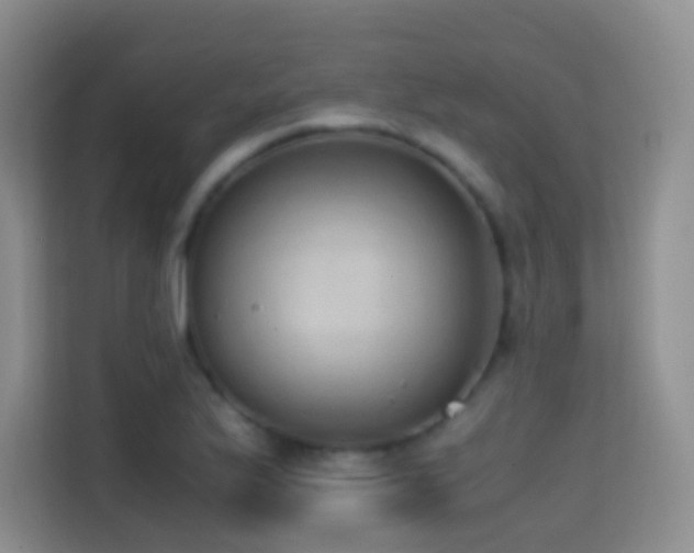 X0000114681175200910211204