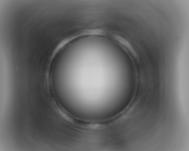 X0000114681176200910211204