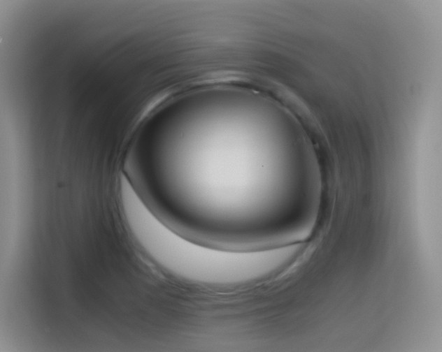 X0000114681177200910211204
