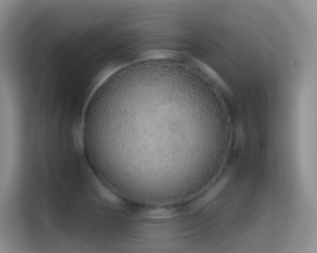 X0000114681178200910211204