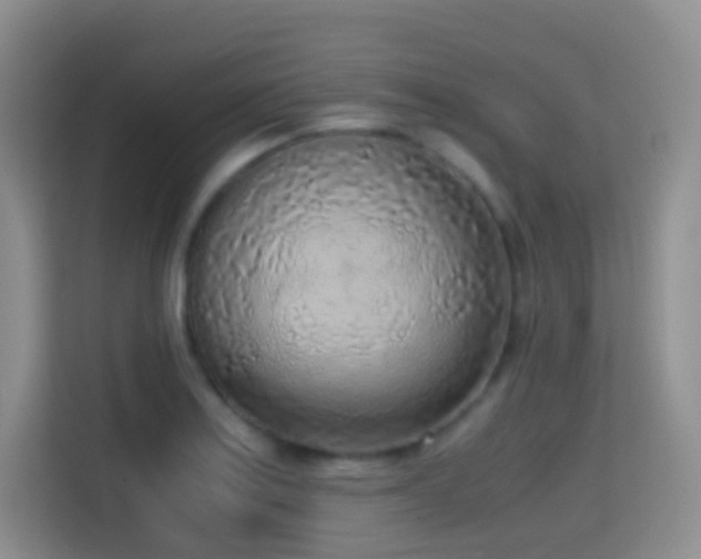 X0000114681179200910211204
