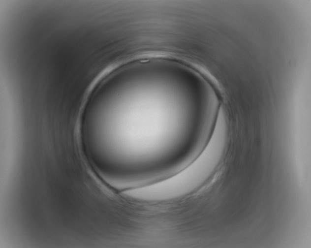 X0000114681181200910211204