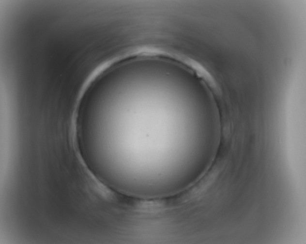 X0000114681183200910211204