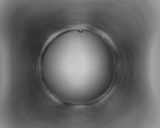 X0000114681184200910211204