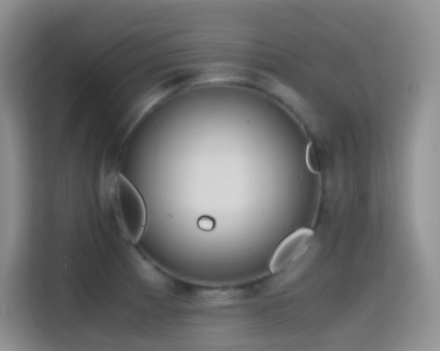 X0000114681185200910211204