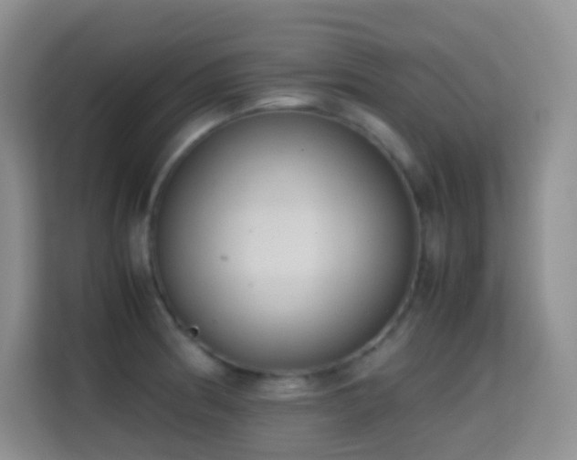 X0000114681186200910211204