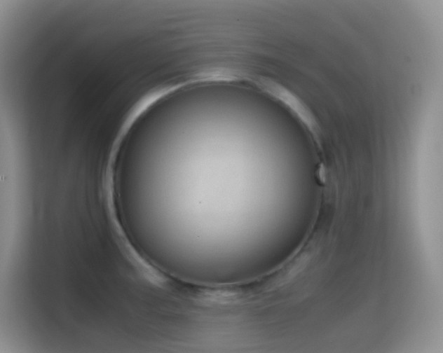 X0000114681187200910211204