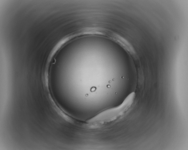 X0000114681188200910211204