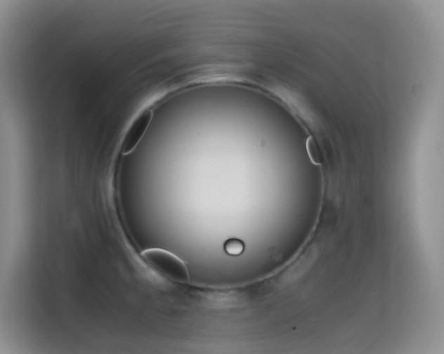 X0000114681189200910211204