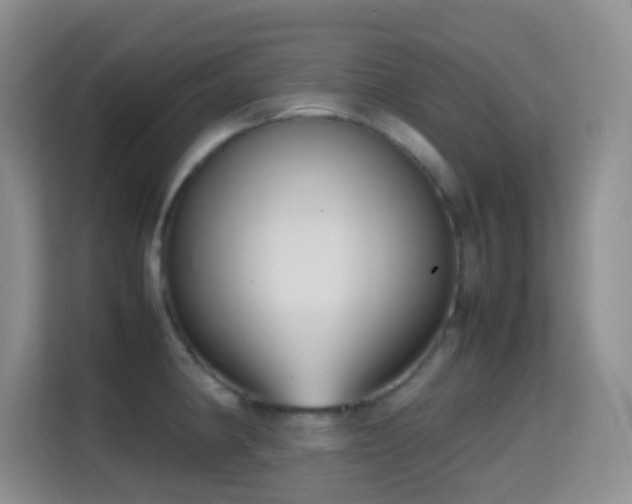 X0000114681190200910211204