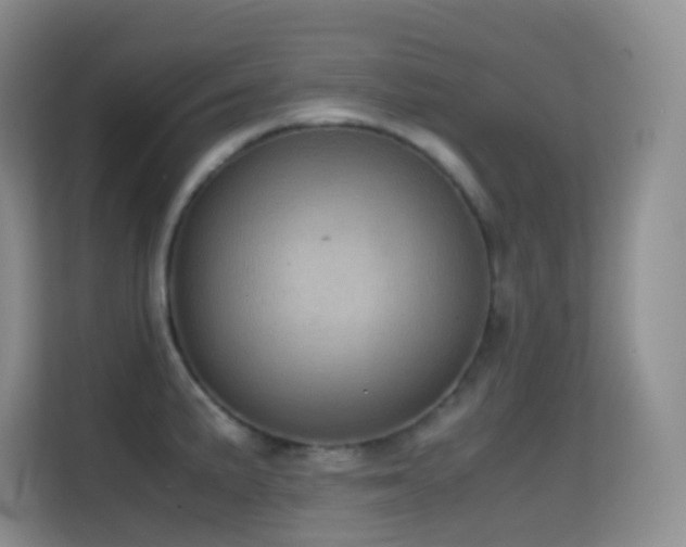X0000114681191200910211204