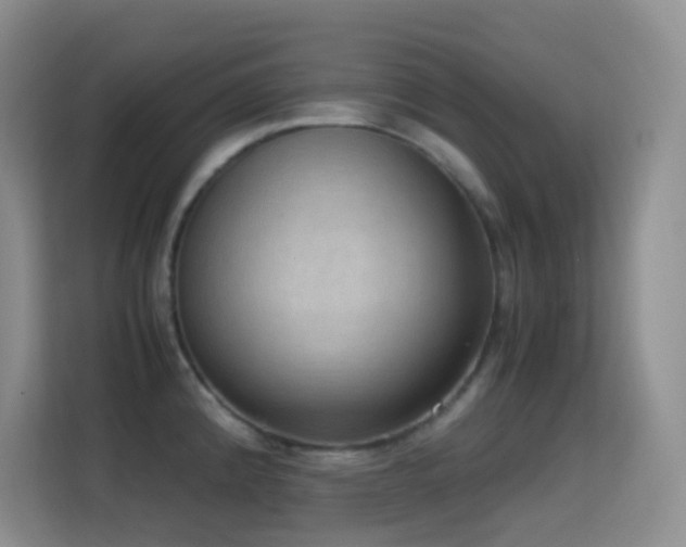 X0000114681192200910211204
