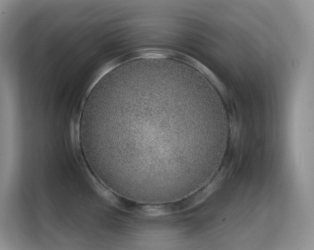 X0000114681194200910211204