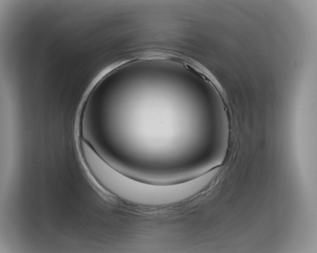 X0000114681195200910211204